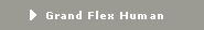 Grand Flex Human
